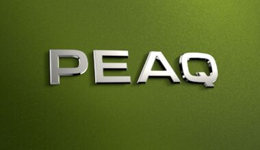 Peaq is de grootste auto van het merk