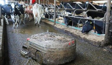 Foto van Stefan Buning