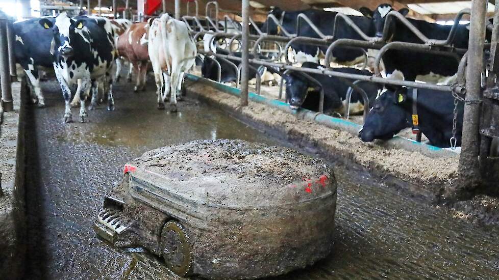 Foto van Stefan Buning