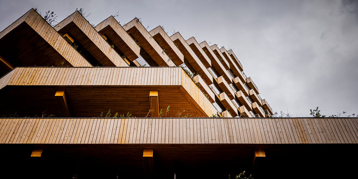 De zeer speciale houten wolkenkrabber in Rotterdam