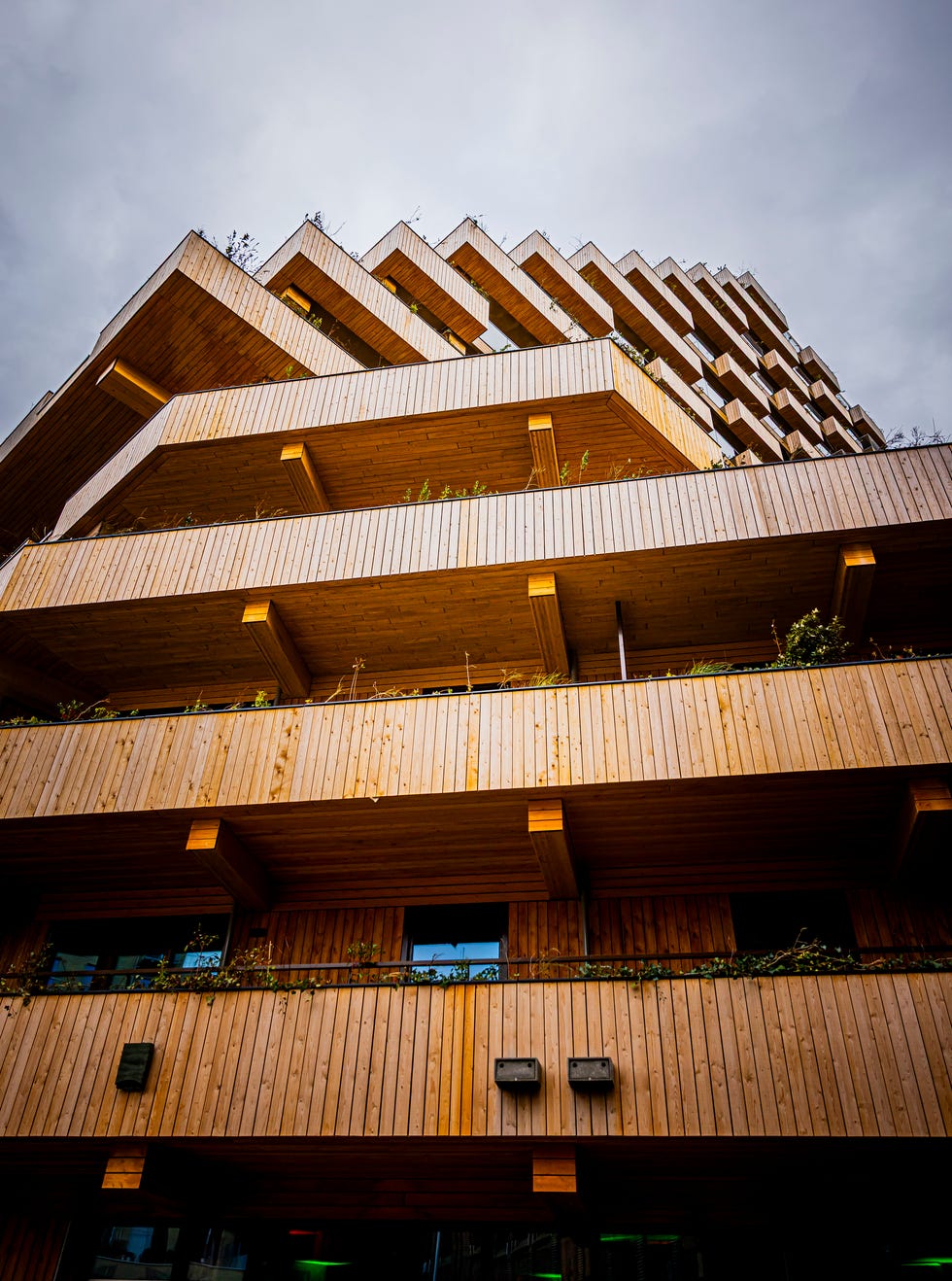 queen maxima of the netherlands opens circulair wooden living area in rotterdam