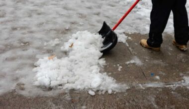 KMI waarschuwt voor bijkomend winters weer: zo voorkom je ijsvorming vooraf