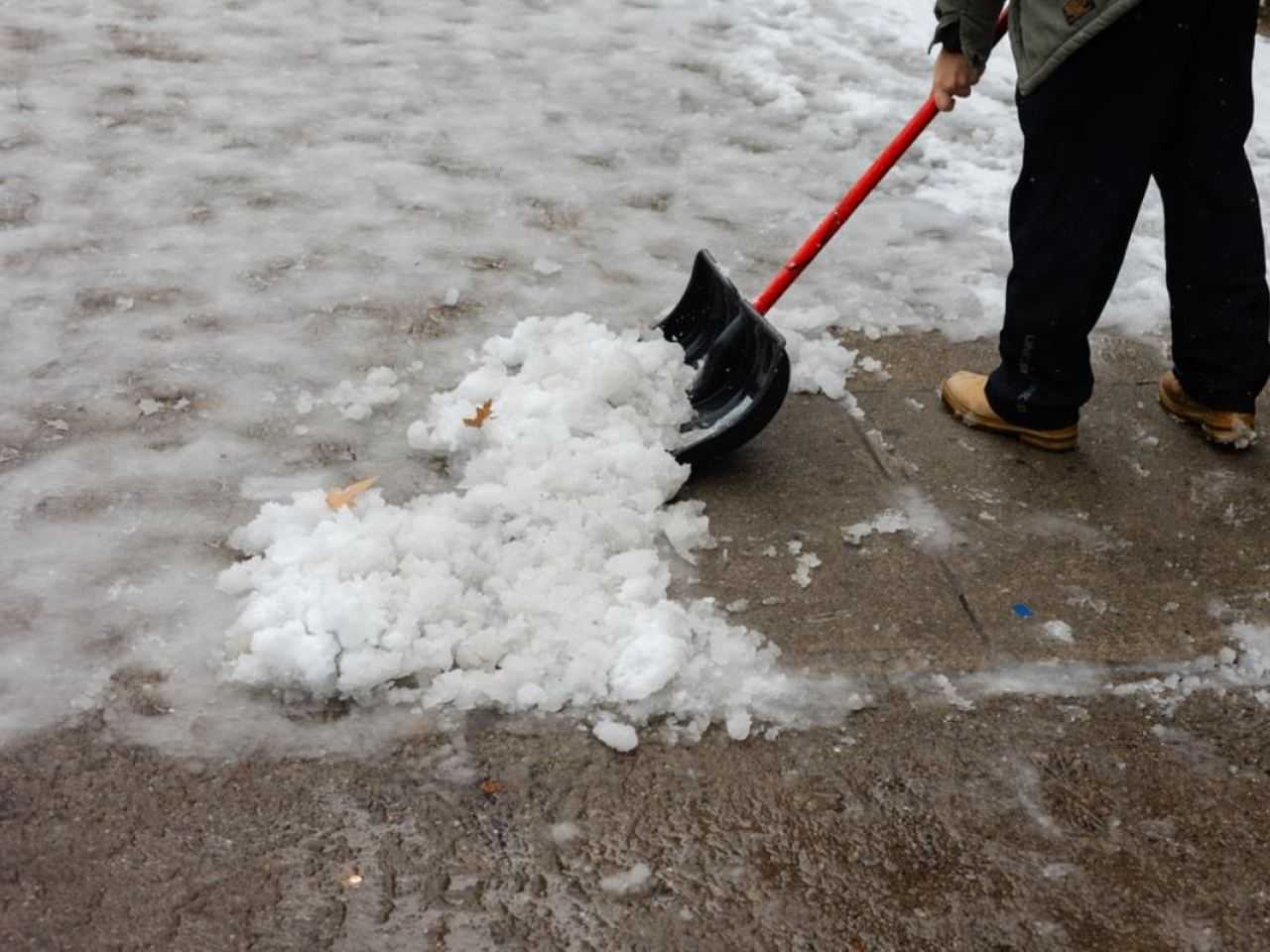 KMI waarschuwt voor bijkomend winters weer: zo voorkom je ijsvorming vooraf