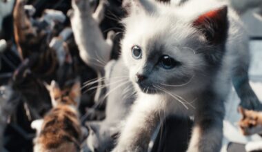 Regisseur blikt terug op gigantische Marvel-flop uit 2023: "Iedereen heeft zijn best gedaan"