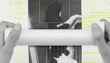 Inspectie zet rechter buitenspel en overtreedt de wet onder druk van boerenlobby - Follow the Money