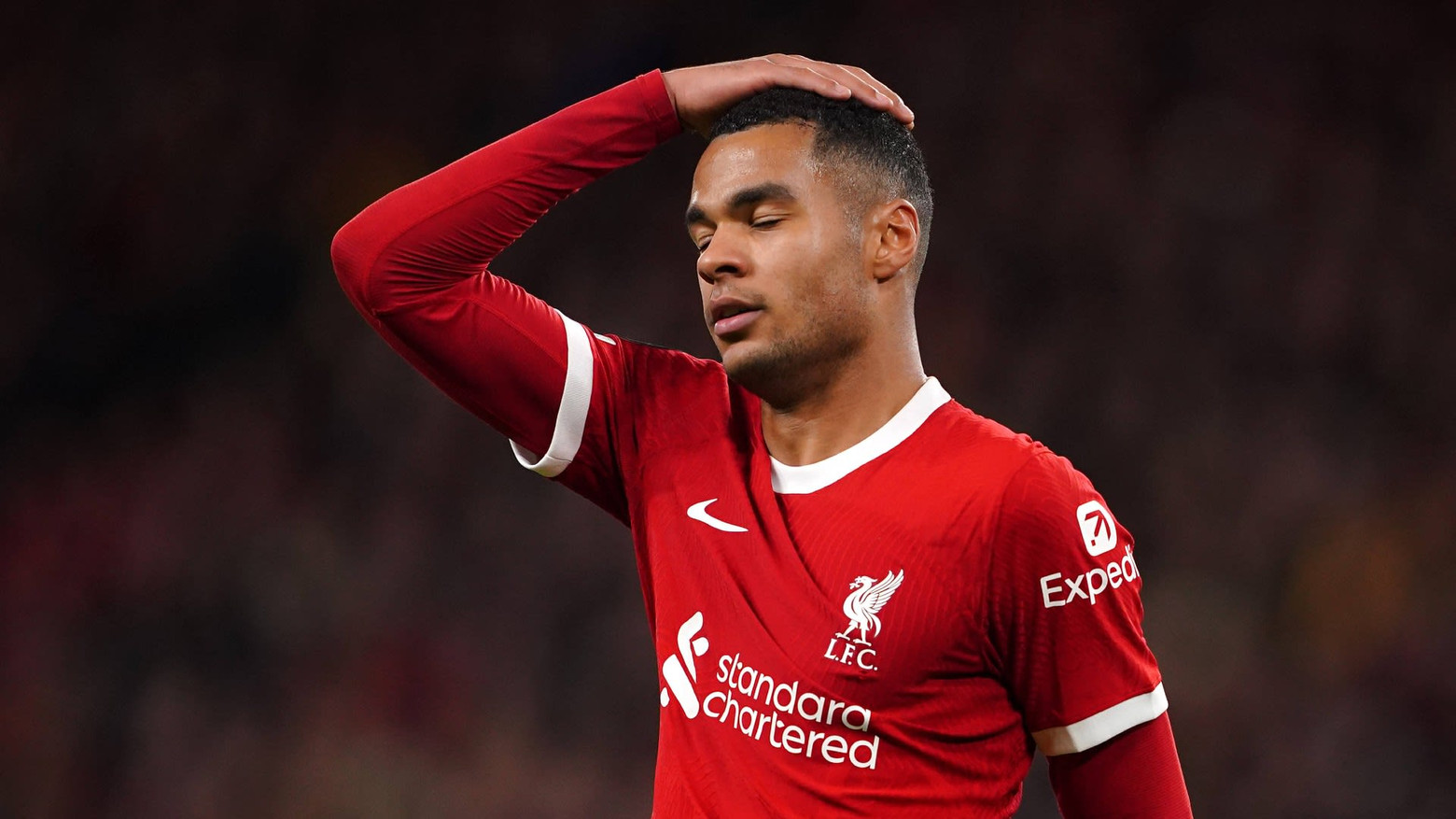 Cody Gakpo van Liverpool