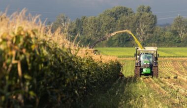 Tientallen Friese telers gewaarschuwd door provincie: ze moeten stoppen met pesticiden