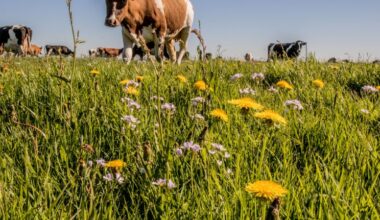 Ingangsdatum eco-activiteiten schuift op door extreme droogte