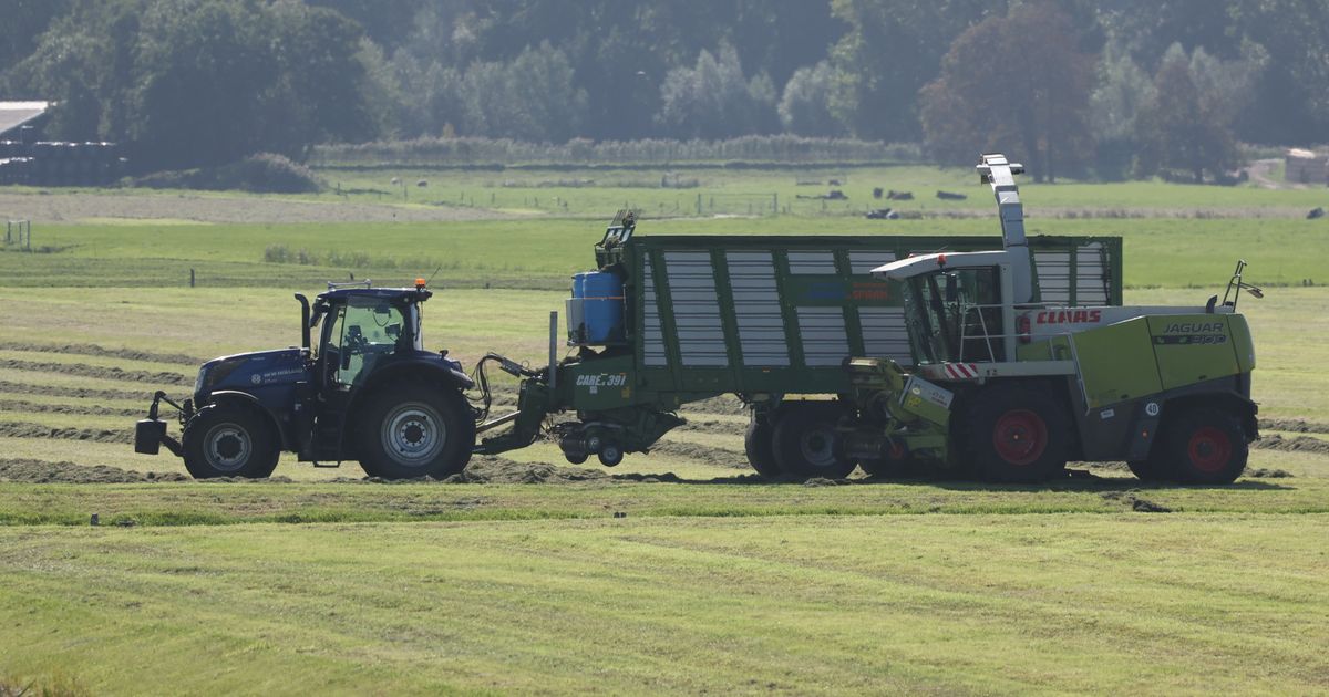 Zwaargewonde bij bedrijfsongeluk in weiland, man verliest arm - Omroep West