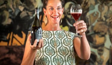 (+) Ukens vintips: Billig vin: Beste kjøp i basisutvalget
