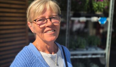 Grensehandel, Tine | Norske varer selges billigere i Sverige: – Flaut