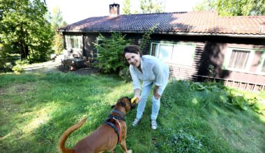 Sandvika, Nesøya | Aktuell med ny bok om Sandvika
