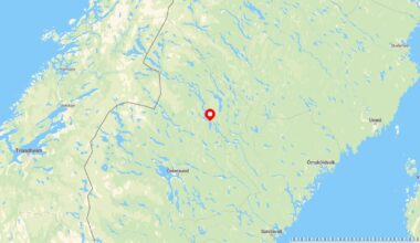 Fem norske menn tiltalt for ulovlig bjørnejakt i Strömsund