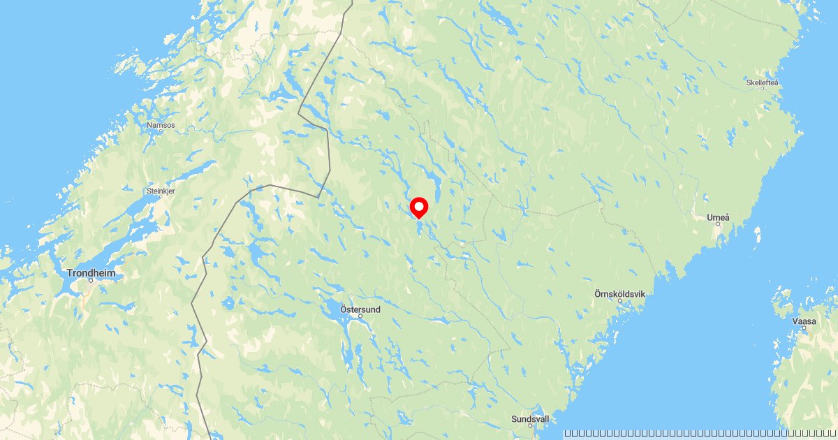 Fem norske menn tiltalt for ulovlig bjørnejakt i Strömsund