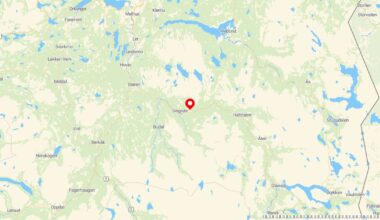 Bjørn som drepte over 60 sauer er skutt