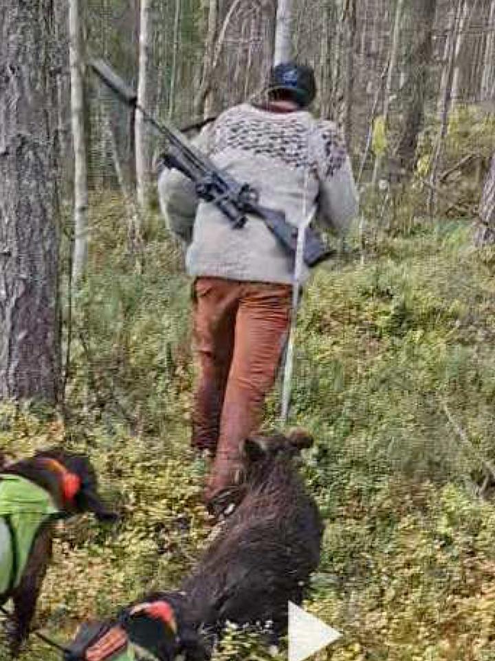 – Jeg hjalp bare til