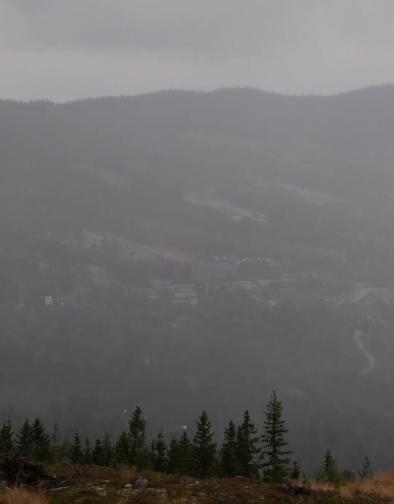 Gåten fra Hedalen