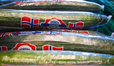 Norsk agurkmangel knyttes til TikTok-trend