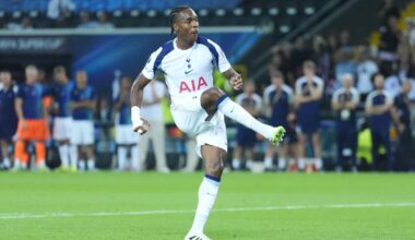 Tottenham tar avstand mot rasmismen mot Mathys Tel