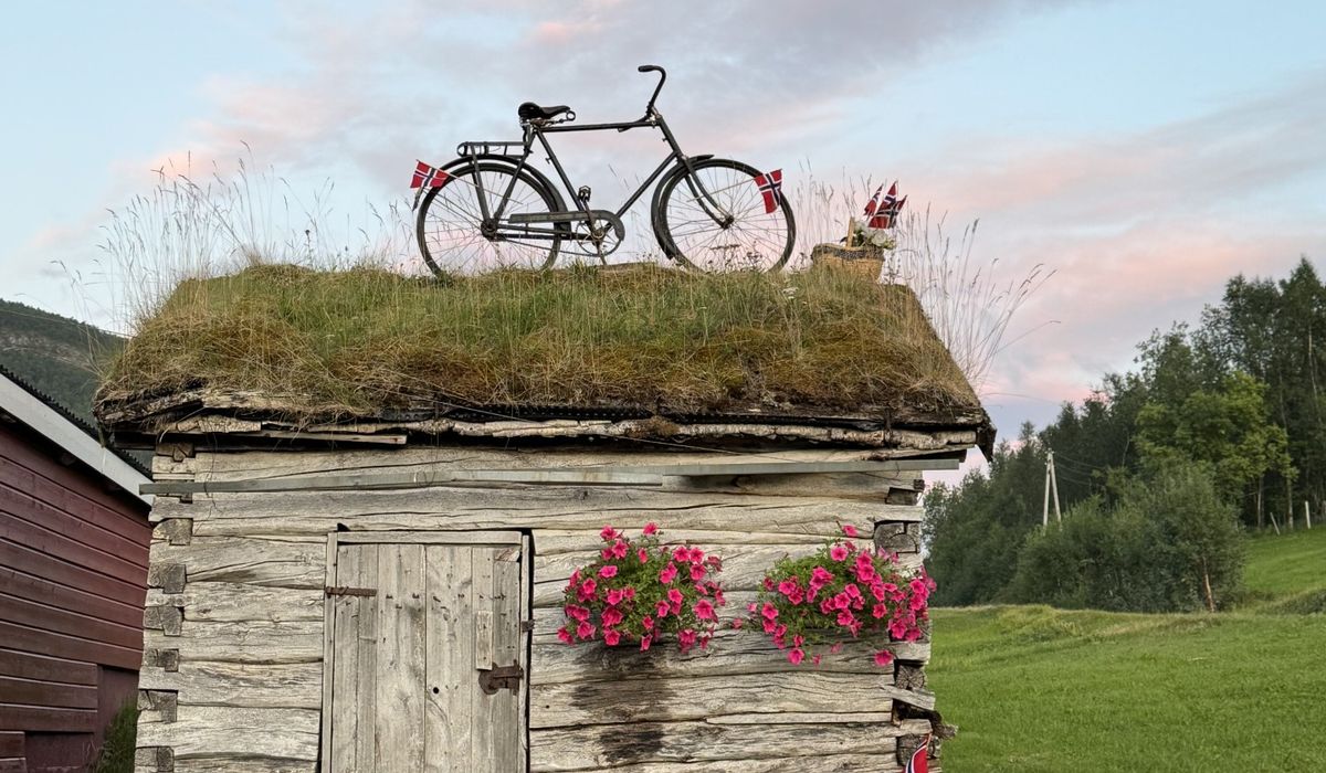 (+) Bildegalleri fra Arctic Race i Sørreisa – ser du noen du kjenner? - folkebladet.no