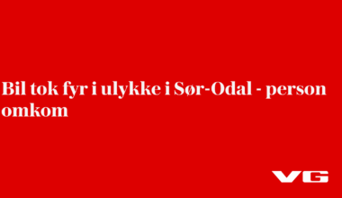 Kjøretøy tok fyr i ulykke i Sør-Odal – E16 stengt i lang tid