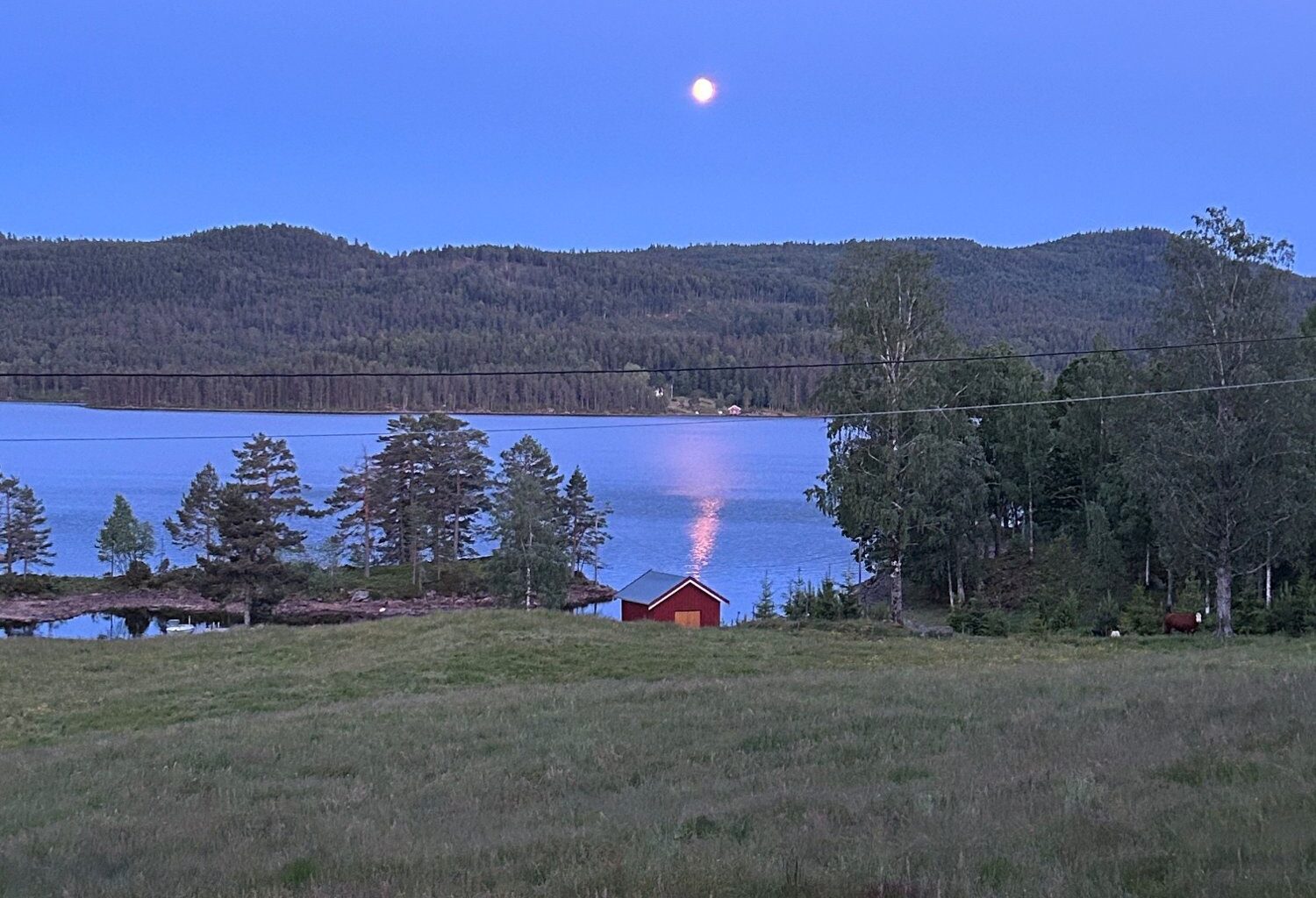 Vegårshei, Vindkraft | - Dette er helt uhørt