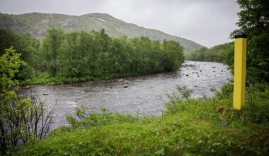 Russer som krysset grensen til Norge har søkt asyl