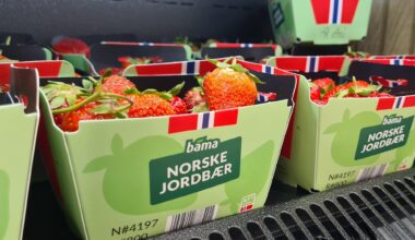 Jordbær, Reker | Doblet salget av norske jordbær