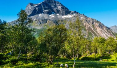 Skarfjellet har flyttet på seg fire meter