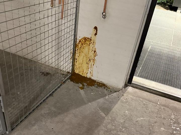 Matbud på fersken etter å ha bæsjet i sameiet
