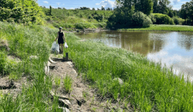 Nyhet, Glomma | – Like skadelig som plast i havet