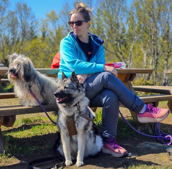 Hund, Båndtvang, tur, Varden, Åsen, Sandnessjøen, sommer 2025. Marianne Marthinsen