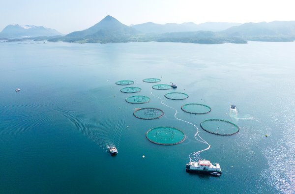 Aukra  20230522. 
Laks, Regnbueørret og Ørret i oppdrettsanlegg i havet ved Aukrasanden med Jendemsfjellet i bakgrunnen. 
MOWI SEAWATER NORWAY AS som har anlegget.
Foto: Gorm Kallestad / NTB