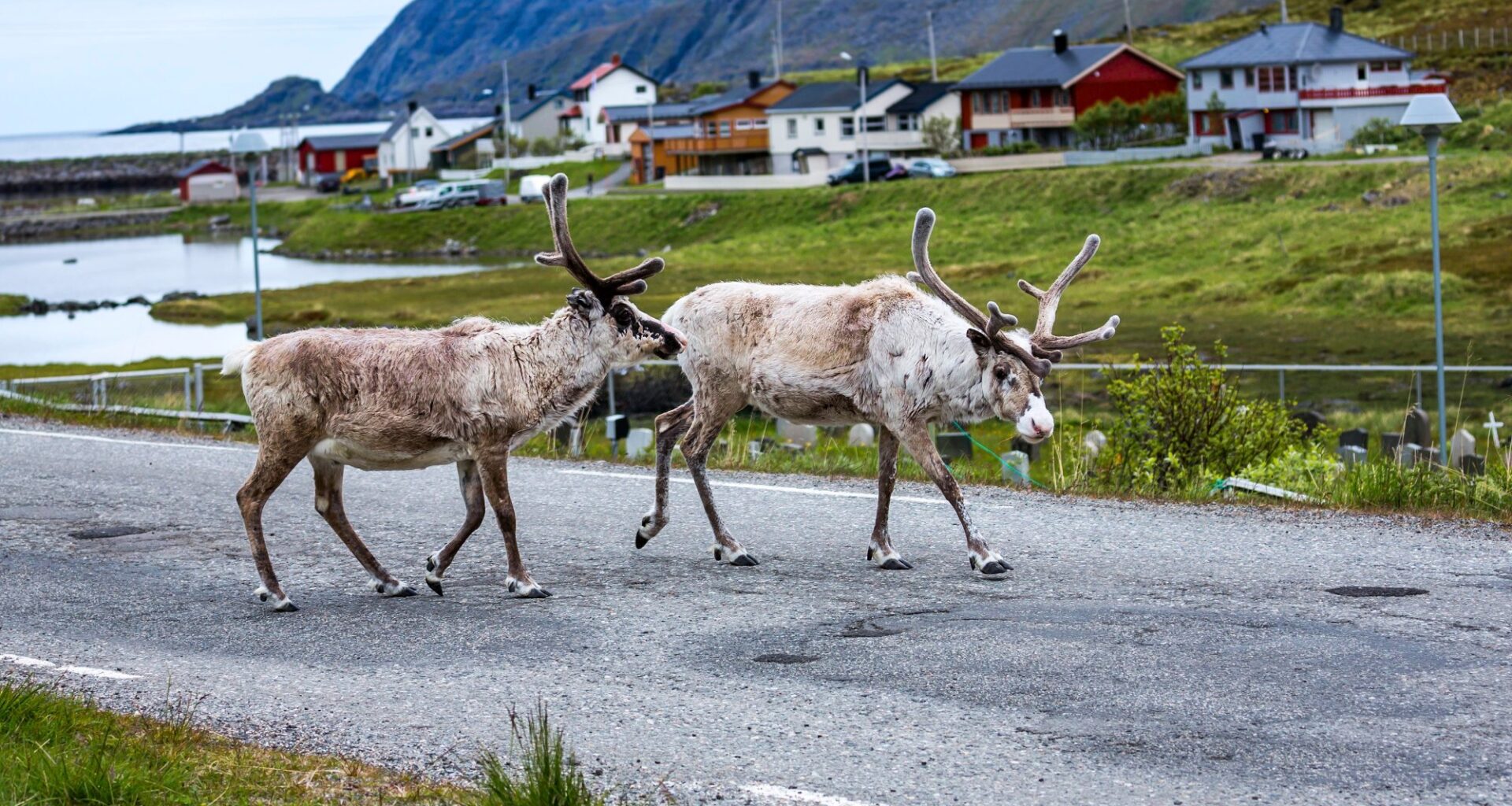 Reindrift, Senterpartiet | Reindriften er verken et «symbol» eller tålt bruk