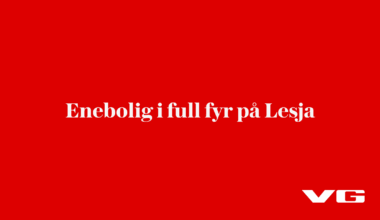 Enebolig i full fyr på Lesja