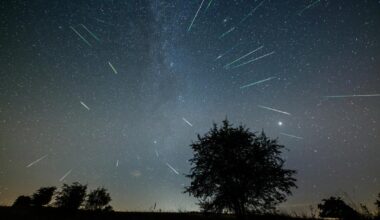 Meteorsvermen Perseidene vil være synlig på himmelen: