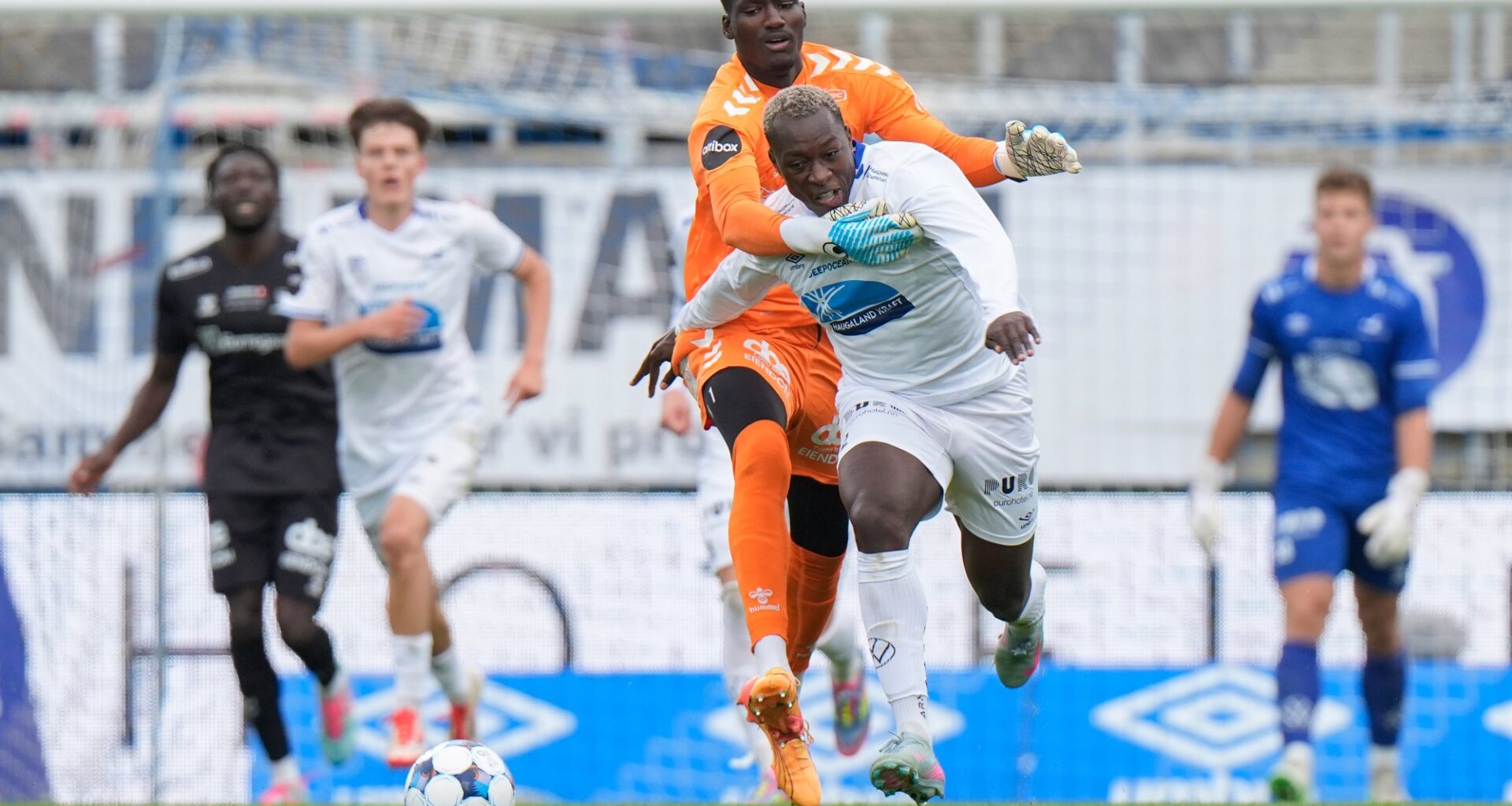 Debatt, Sarpsborg 08 | Sarpsborg 08: – Ønsker vi et oppdrettsanlegg eller en fotballstolthet?