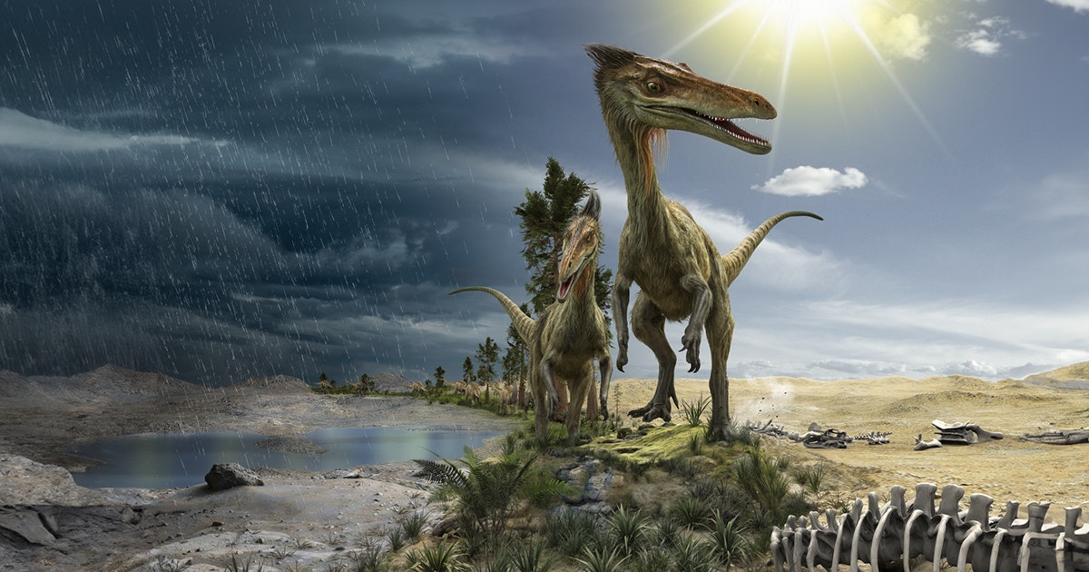 Nytt funn skriver om historien: Dinosaurene fant en snarvei til suksess