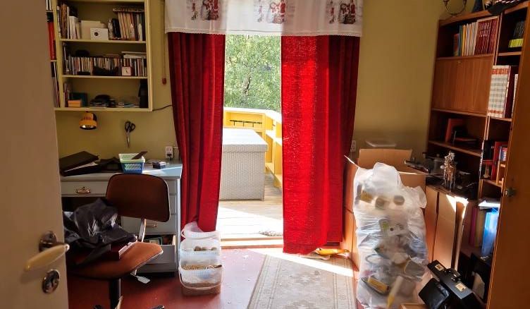 Dette synet møtte Arne da han kom hjem: – Jeg fikk sjokk