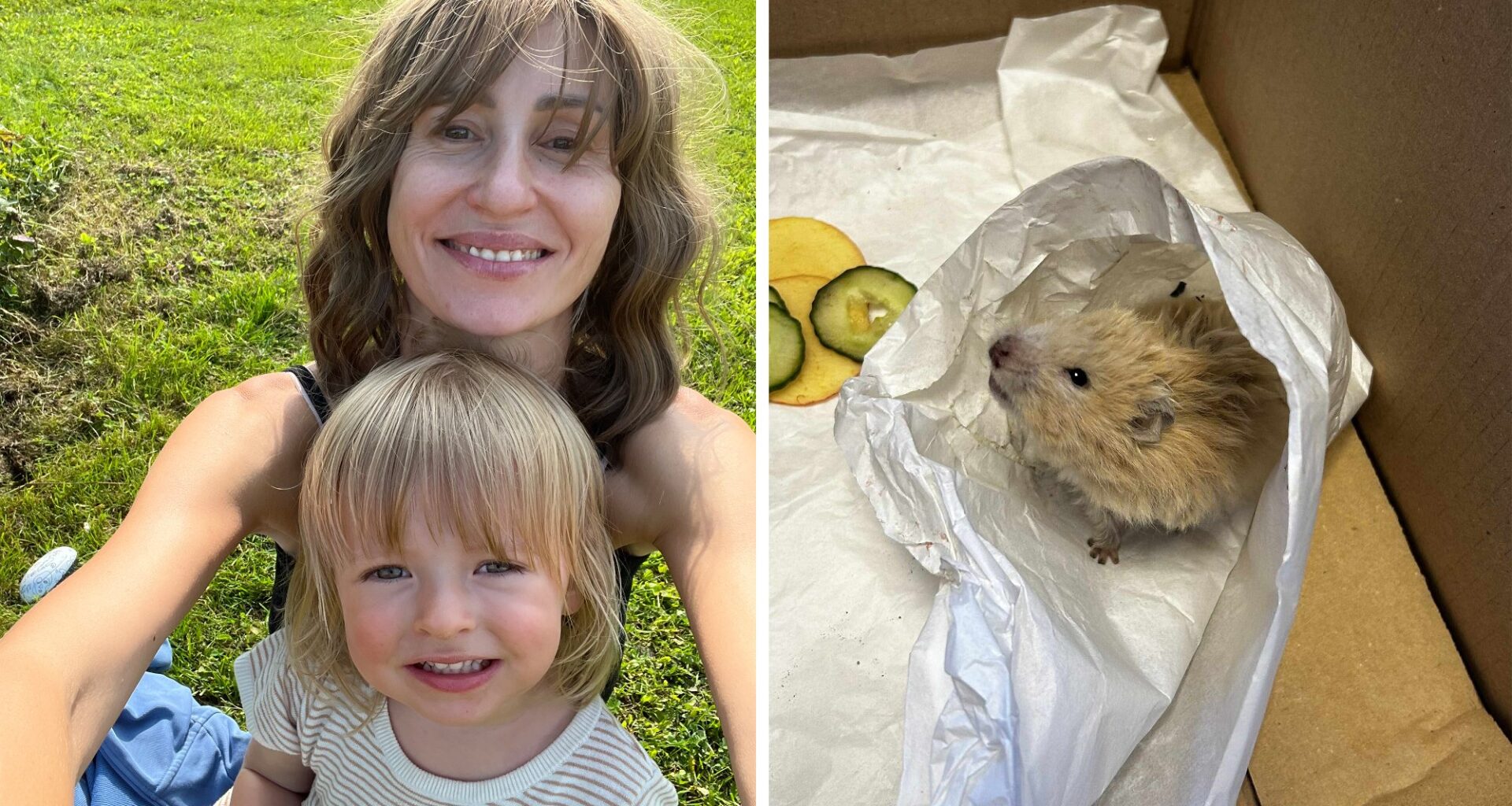 Hamster, Bekkestua | Hamsteren Elsa hjemme igjen etter ti dager på vift