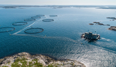 DNB Carnegies anbefaling på oppdrett og tech