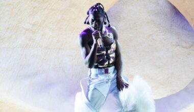 Slottsfjell, Lil nas x | Slottsfjell-artist i kjempetrøbbel – skal ha angrepet flere politifolk
