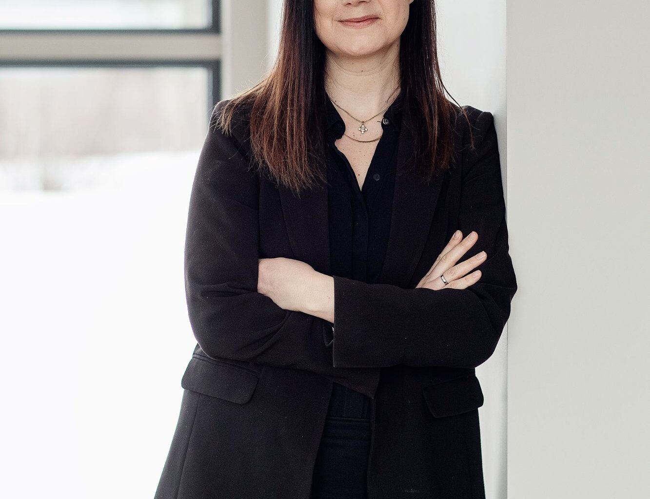 Nordområdepolitikk, Strategien Norge i Nord