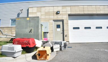 FBI brenner narkotika på dyrehjem – 14 ansatte på sykehus