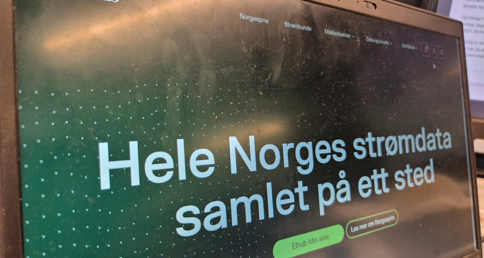 Norgespris, Elhub | Venter norgespris-kaos: – Alle trenger ikke å logge seg inn første dag