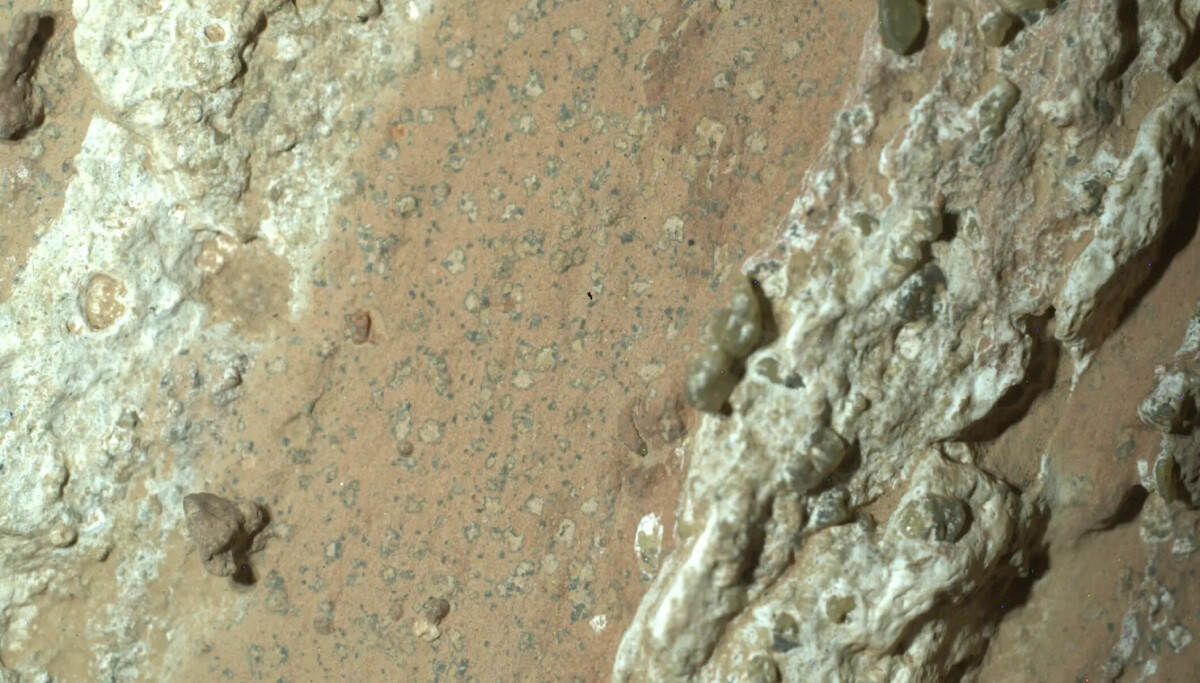 Nasa sier de har funnet mulig tegn til tidligere liv på Mars