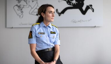 Er ikke godt nok rigget til å håndtere sikkerhetspolitiske situasjonen