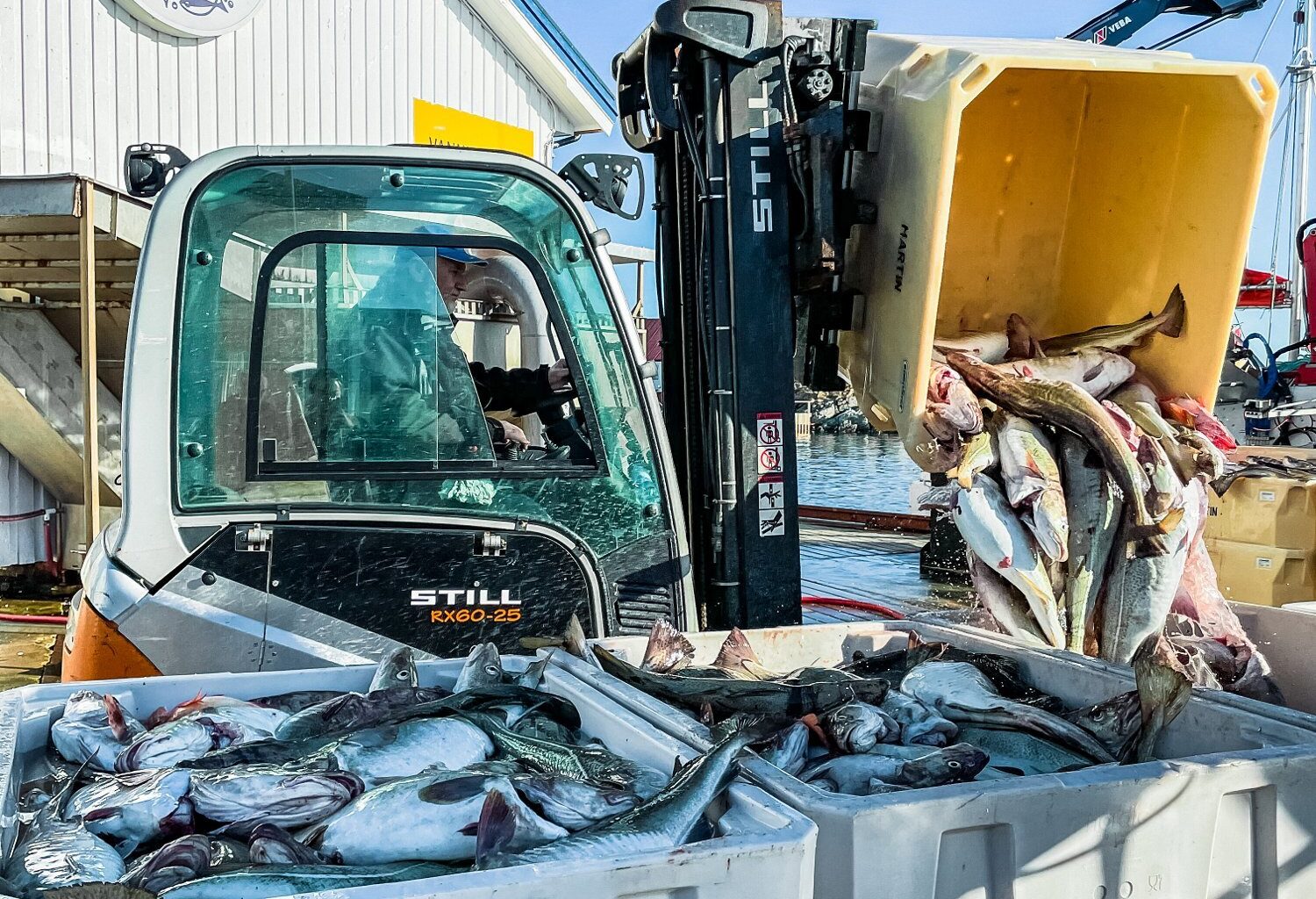 Fiskeri, Næringsliv | Kvotekuttene rammer Nordland hardt: – To lofotkommuner er de mest fiskeriavhengige i landet