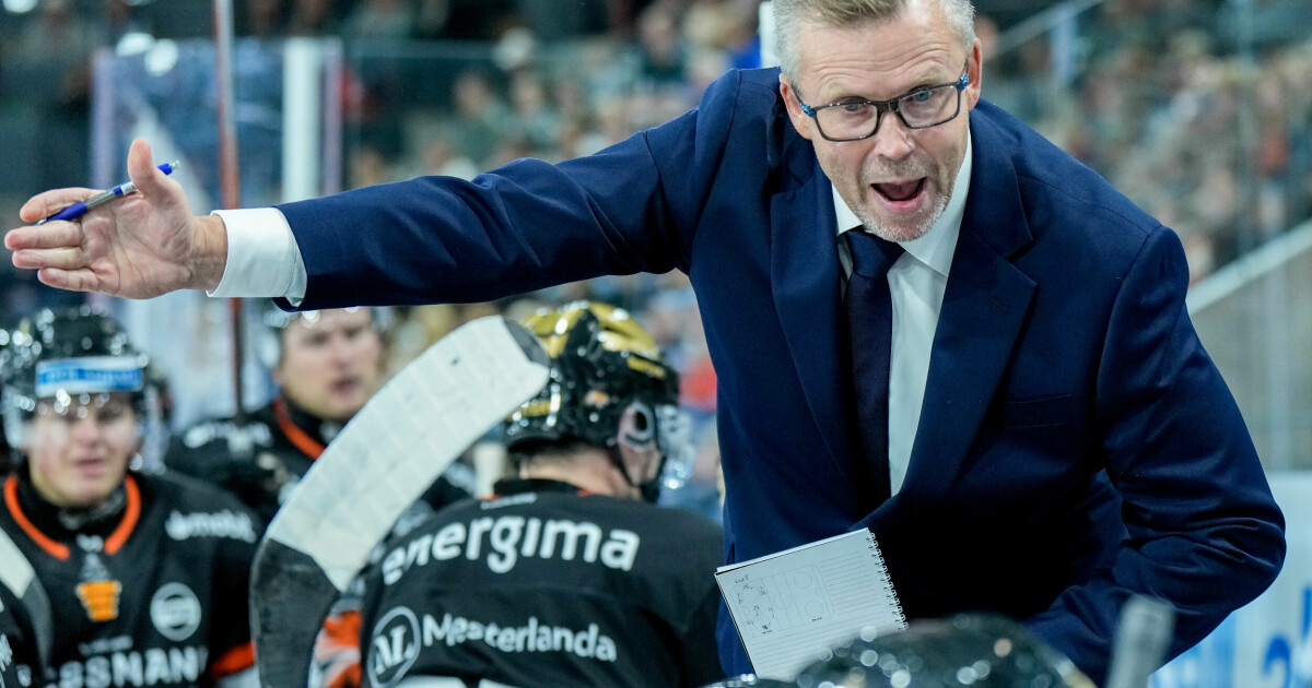 TV 2 erfarer: Disse tar over hockeylandslaget