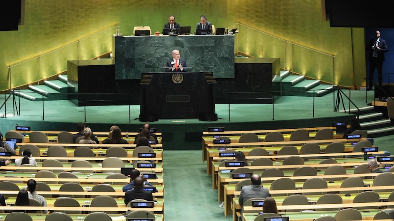 Bilde av Hedda Kurseth